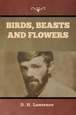D H Lawrence, D. H. Lawrence, H. Lawrence , D. - Birds, Beasts and Flowers, Häftad