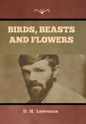 D H Lawrence, D. H. Lawrence, H. Lawrence , D. - Birds, Beasts and Flowers, Inbunden