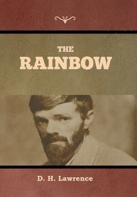 bokomslag Rainbow