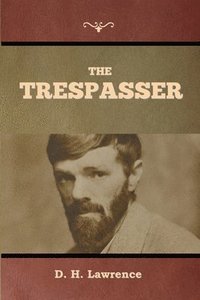bokomslag Trespasser