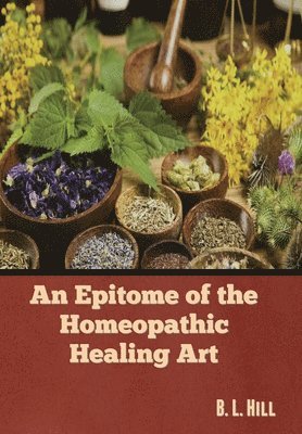 bokomslag An Epitome of the Homeopathic Healing Art