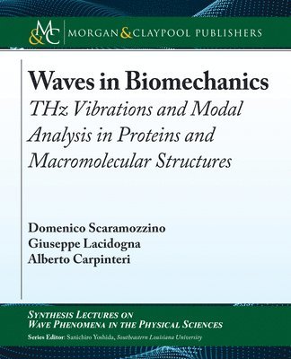 Domenico Scaramozzino, Giuseppe Lacidogna, Alberto Carpinteri - Waves in Biomechanics, Häftad