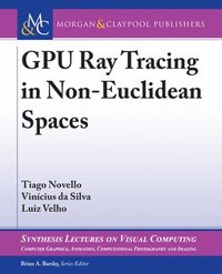 bokomslag GPU Ray Tracing in Non-Euclidean Spaces