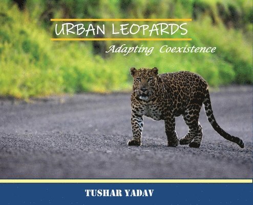 Urban Leopards, Adapting coexistence 1