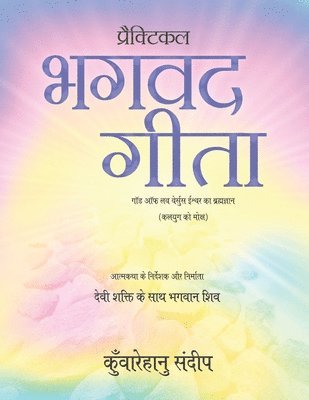 bokomslag Practical Bhagwad Gita