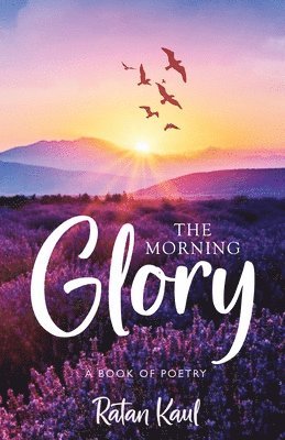 Ratan Kaul - Morning Glory, Häftad