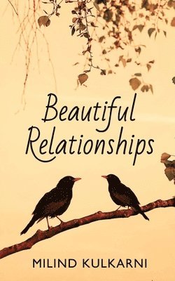 bokomslag Beautiful Relationships - A Collection of Seven Fictions