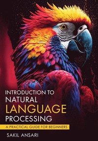 bokomslag Introduction to Natural Language Processing - A Practical Guide for Beginners