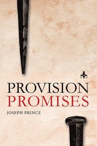bokomslag Provision Promises