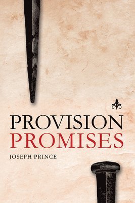 Provision Promises 1