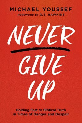 Never Give Up 1