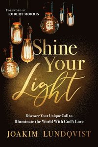 bokomslag Shine Your Light