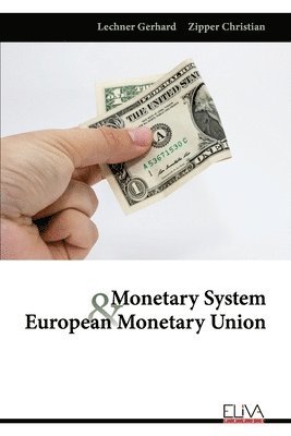 bokomslag Monetary System and European Monetary Union