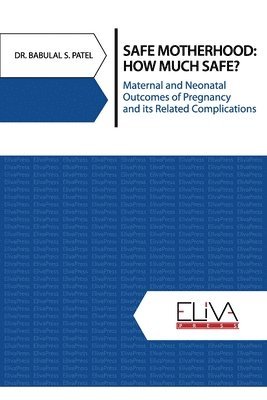 bokomslag Safe Motherhood: How Much Safe?: Maternal and Neonatal Outcomes of Pregnancy and Its Related Complications