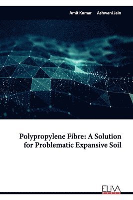 Ashwani Jain, Amit Kumar - Polypropylene Fibre, Häftad