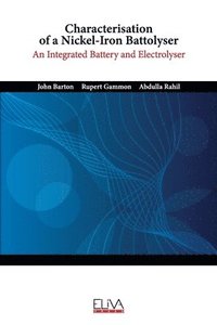 bokomslag Characterisation of a Nickel-Iron Battolyser