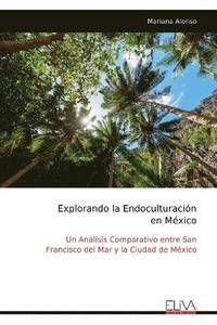 bokomslag Explorando la Endoculturación en México