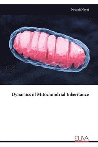 bokomslag Dynamics of Mitochondrial Inheritance