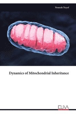 bokomslag Dynamics of Mitochondrial Inheritance