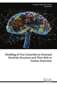 bokomslag Modeling of Non-Linearities in Neuronal Dendritic Structures and Their Role in Feature Extraction