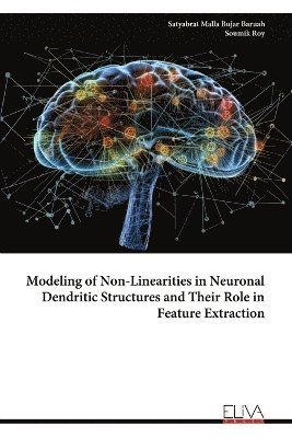 bokomslag Modeling of Non-Linearities in Neuronal Dendritic Structures and Their Role in Feature Extraction