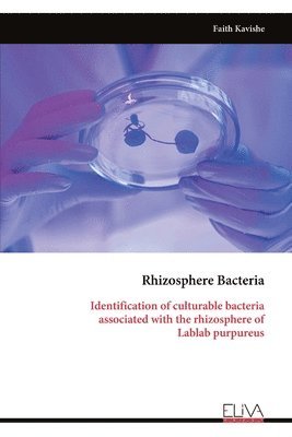 bokomslag Rhizosphere Bacteria: Identification of culturable bacteria associated with the rhizosphere of Lablab purpureus
