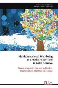 bokomslag Multidimensional Well-being as a Public Policy Tool in Latin America