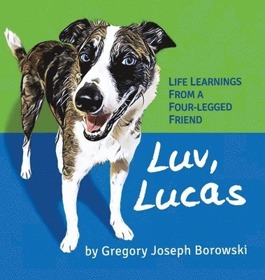 bokomslag Luv, Lucas