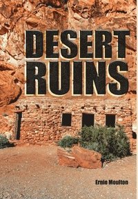 bokomslag Desert Ruins