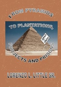 bokomslag From Pyramids to Plantations, Projects and Prisons