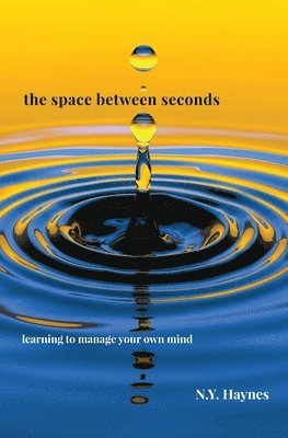 N Y Haynes, N. Y. Haynes, N.Y Haynes, N. Y Haynes - Space Between Seconds, Häftad