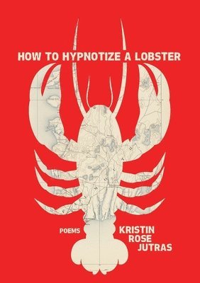 bokomslag How to Hypnotize a Lobster