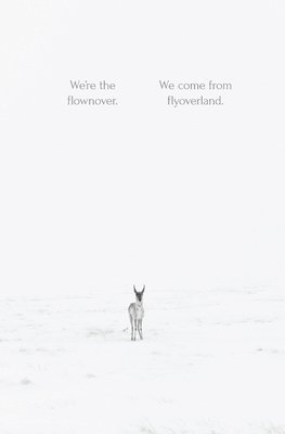 Matt Mauch - We're the flownover. We come from flyoverland., Häftad
