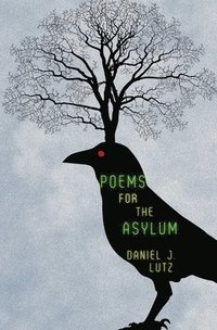 bokomslag Poems for the Asylum