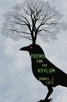 bokomslag Poems for the Asylum