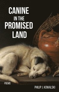 bokomslag Canine in the Promised Land