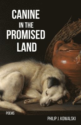 bokomslag Canine in the Promised Land