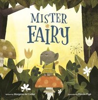 bokomslag Mister Fairy