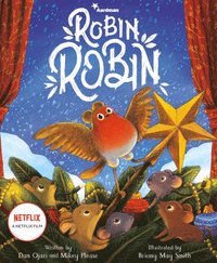 bokomslag Robin Robin
