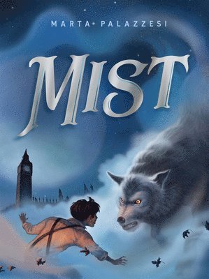 Mist 1