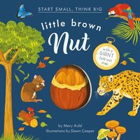 bokomslag Little Brown Nut