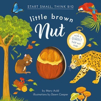 Mary Auld - Little Brown Nut, Inbunden