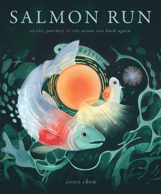 bokomslag Salmon Run