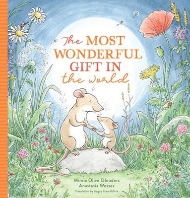 Mireia Olivé Obradors - Most Wonderful Gift in the World, Inbunden