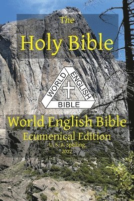 Michael Paul Johnson, Paul Johnson, Michael - Holy Bible, Häftad