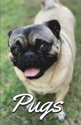 bokomslag Pugs Photo Book for Writing and Note Taking