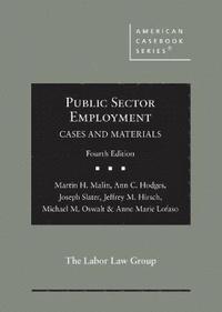 bokomslag Public Sector Employment