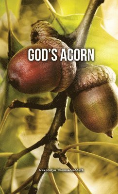 bokomslag God's Acorn