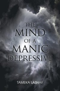 bokomslag The Mind of a Manic Depressive