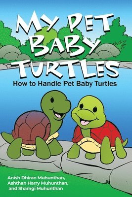 My Pet Baby Turtles: How to Handle Pet Baby Turtles 1